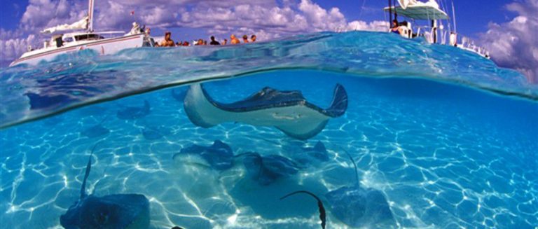 جزر الكايمان سياحة وأهم معالمها السياحية 5 جزر الكايمان سياحة