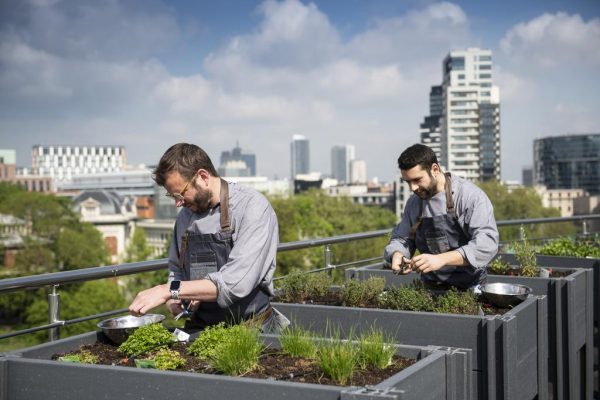 طاقم عمل فندق سوفيتيل بروكسل أوروبا