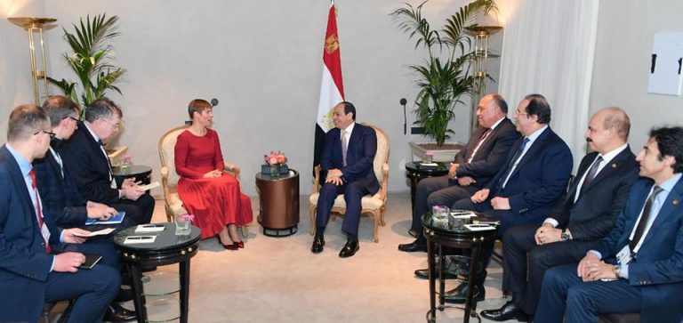 المصريين في استونيا