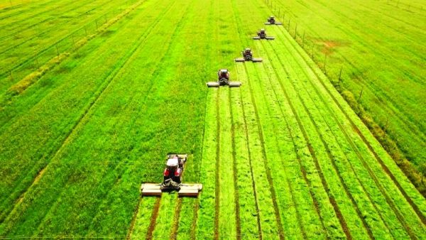شروط الاستثمار في رومانيا .. تعرف على مجالات الإستثمار فى رومانيا 4 الإستثمار الزراعى فى رومانيا