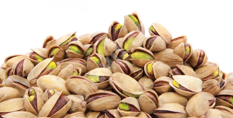 استيراد فستق من تركيا 7 استيراد فستق من تركيا